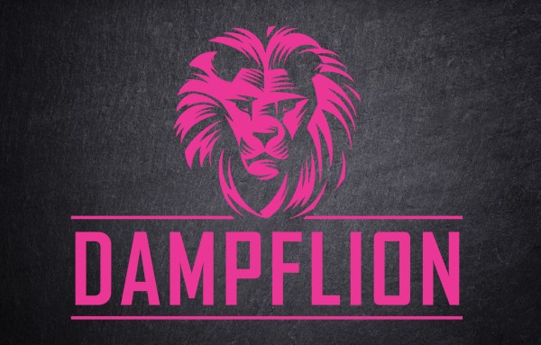 DampfLion Aroma Pink Lion Aroma